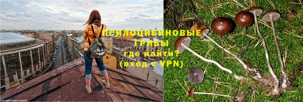 apvp Вязники