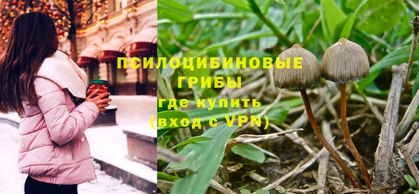 apvp Вязники